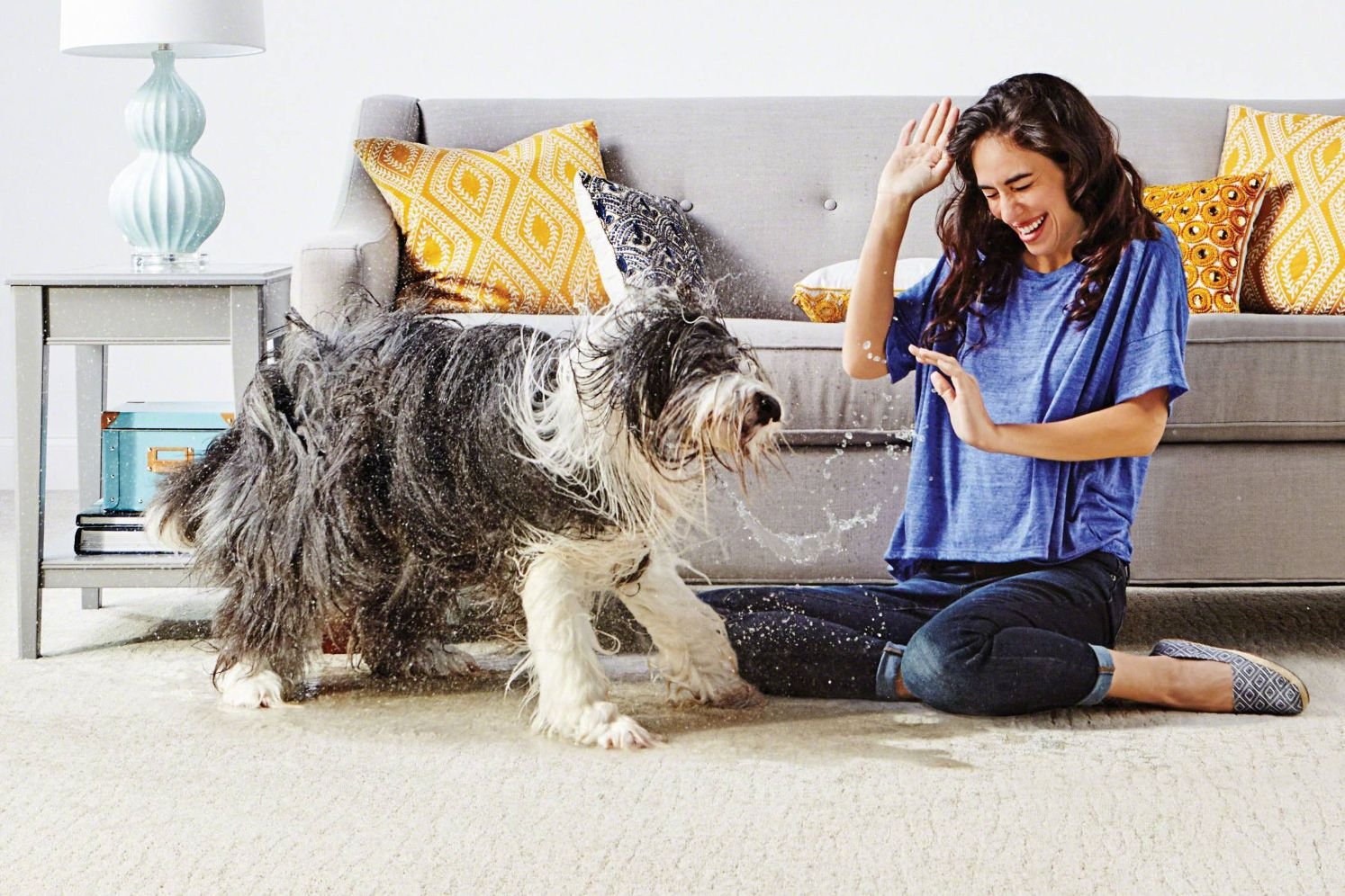 Woman in living room with dog - Flooring Source in the Auburn, MA area