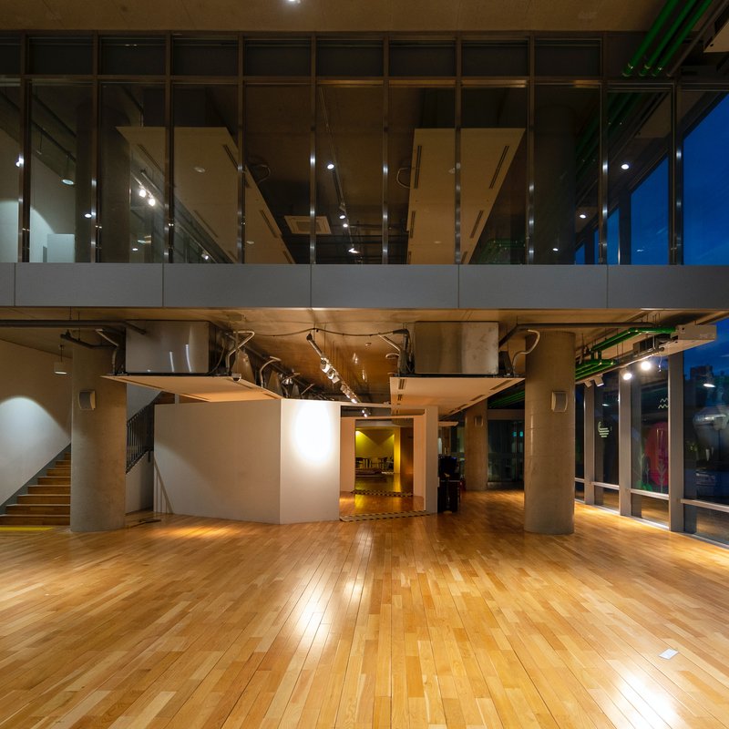 Hardwood and Engineered Wood